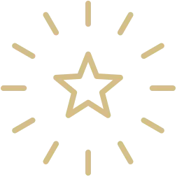 icon_pillars_champion-mindset